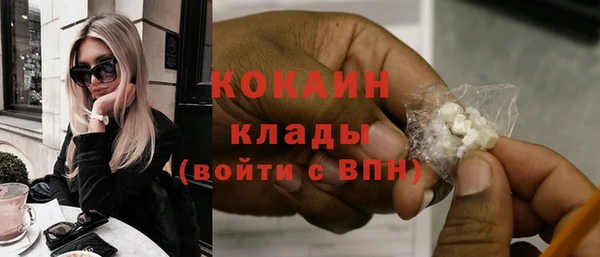 меф Няндома