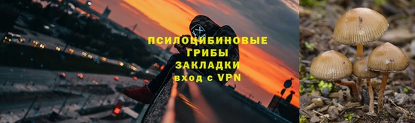 меф Няндома