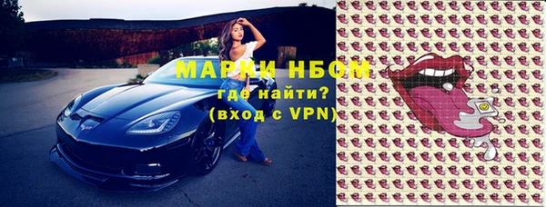 сатива Новозыбков