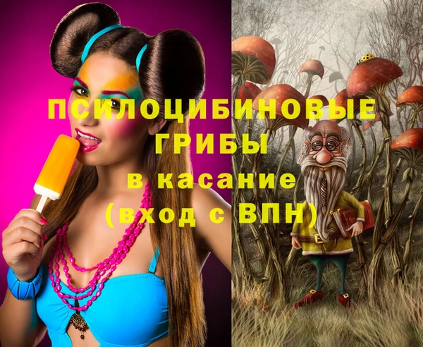 меф Няндома